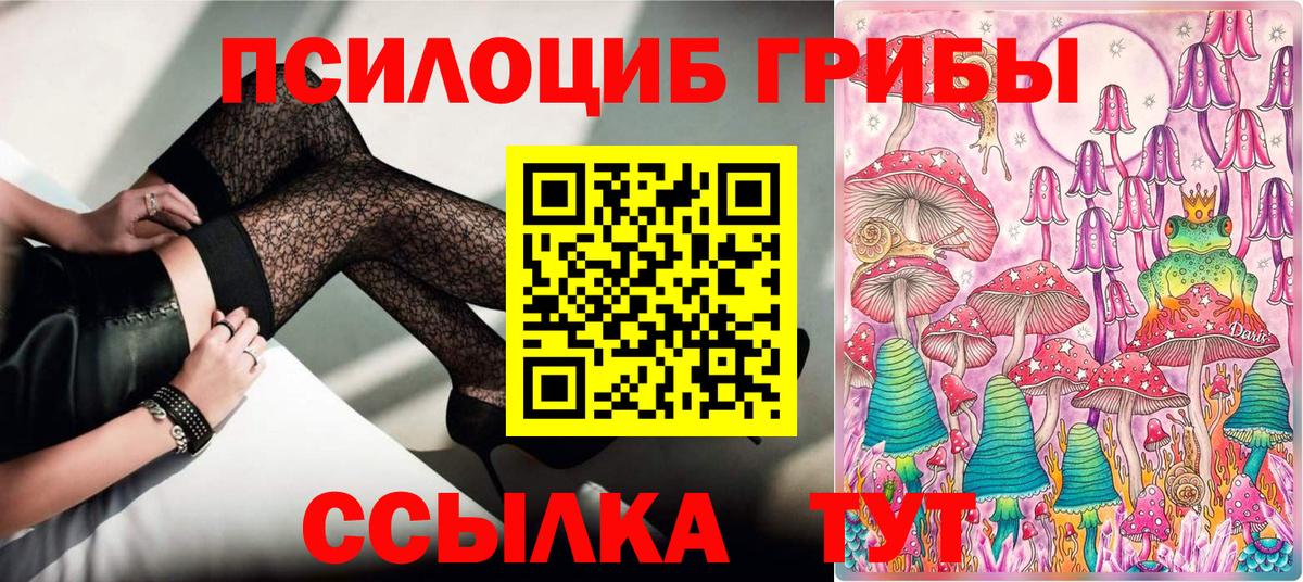 Псилоцибиновые грибы GOLDEN TEACHER  где можно купить наркотик  Вход с VPN  Советский  Галлюциногенные грибы MAGIC MUSHROOMS 