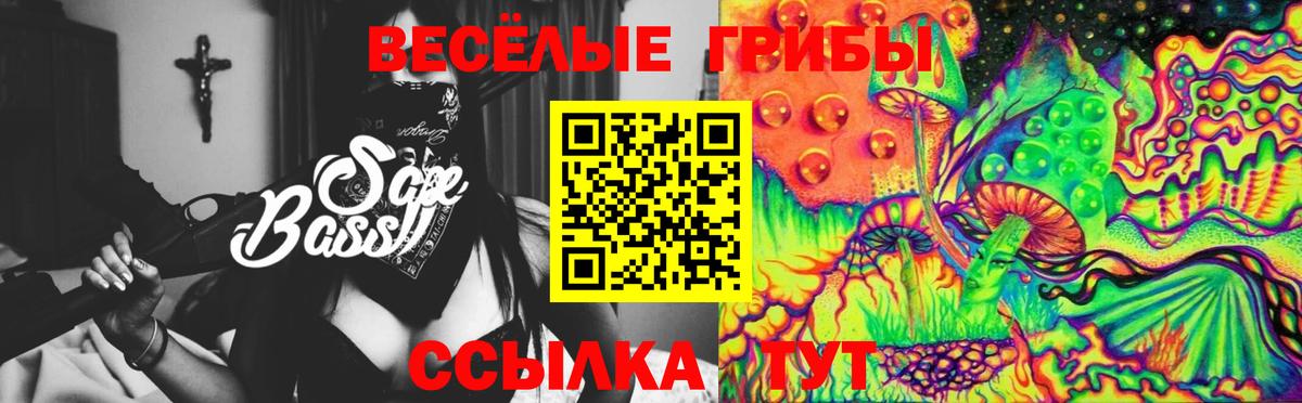 Псилоцибиновые грибы Psilocybine cubensis Советский