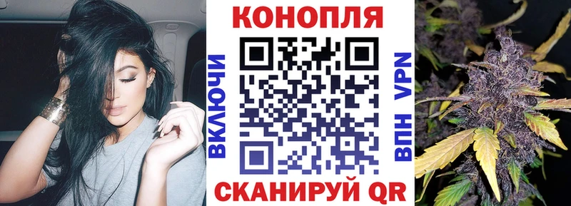 дарнет шоп  Советский  omg как зайти  Бошки марихуана OG Kush 